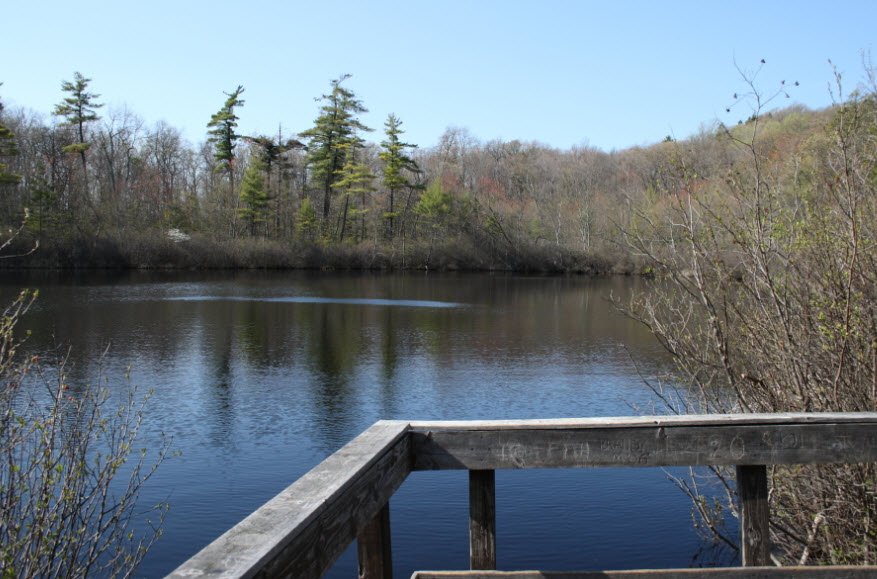 Penwood State Park, Connecticut, USA